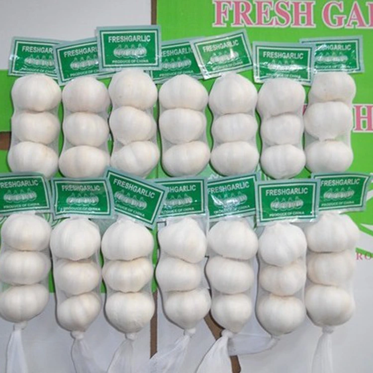 Mengapa Bawang Putih Segar Premium Merupakan Pilihan Pilihan bagi Pembeli yang Sadar Kualitas?