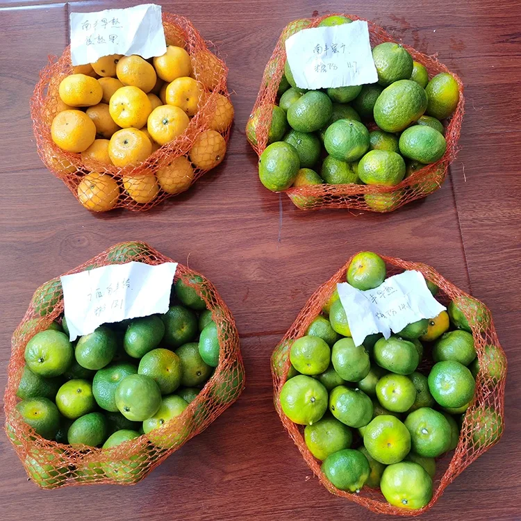 Mandarin Madu Segar
