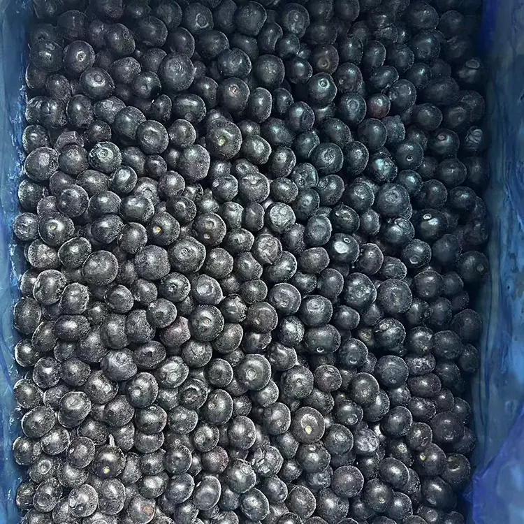 Blueberry Beku Premium IQF Blueberry