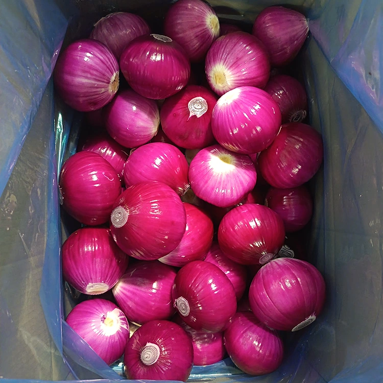 Bawang Kupas Berkualitas Tinggi