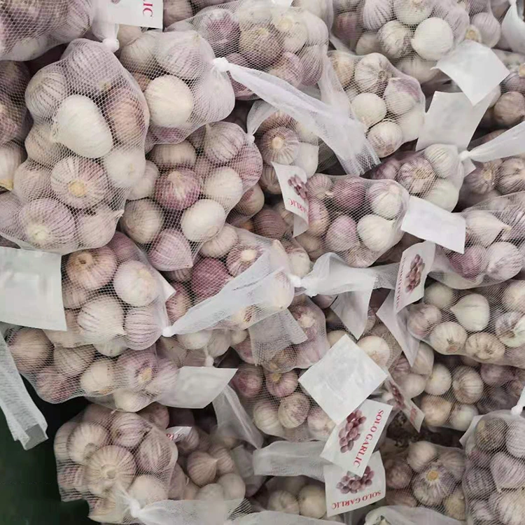 Bawang Putih Satu Siung Berkualitas Tinggi