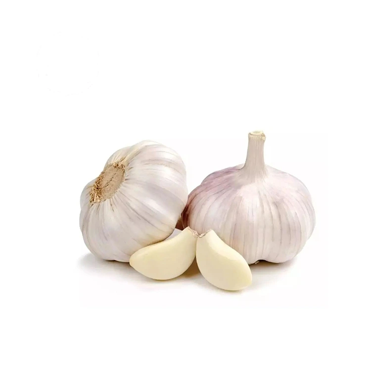 Bawang Putih Putih Normal Keras dan Gemuk Premium