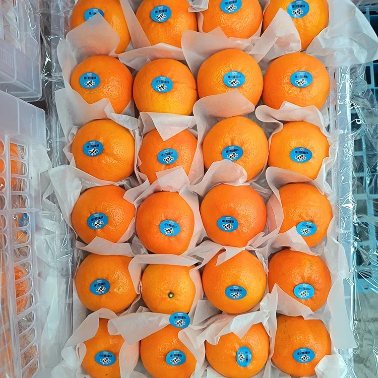 Mandarin Wogan Manis Segar Premium