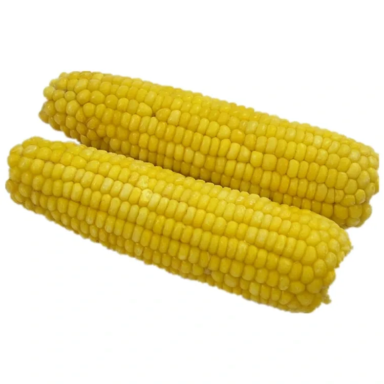 Jagung Manis Beku Premium