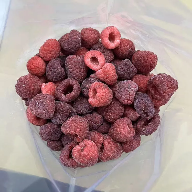 Raspberry Merah Beku Utuh IQF Premium